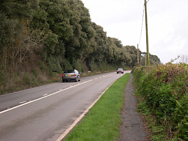 File:The A374 by Horson Plantation - Geograph - 373906.jpg