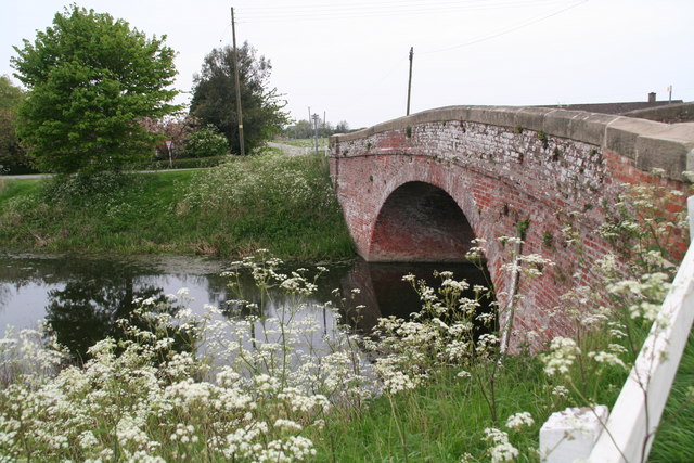 File:Cow Parsley in May by Stone Bridge Drain - Geograph - 3961868.jpg