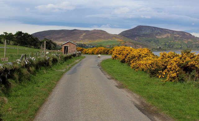 File:The Minor Road on the Southern Shore of Loch Fleet - Geograph - 5795173.jpg