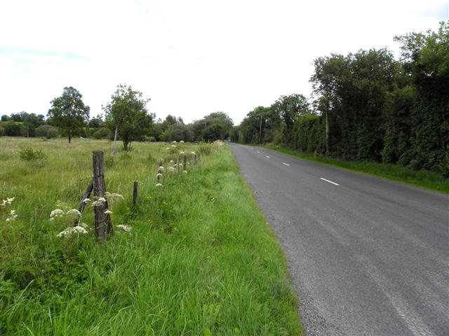 File:B36, Dernawilt Road at Cortrasna - Geograph - 2007644.jpg