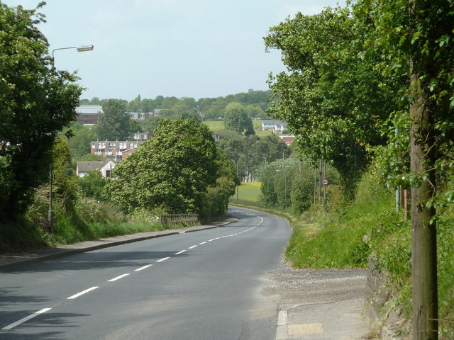 File:Dyche lane towards the outskirts of Sheffield - Geograph - 2426341.jpg