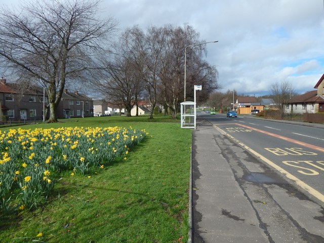 File:Beside Carrochan Road - Geograph - 5328689.jpg