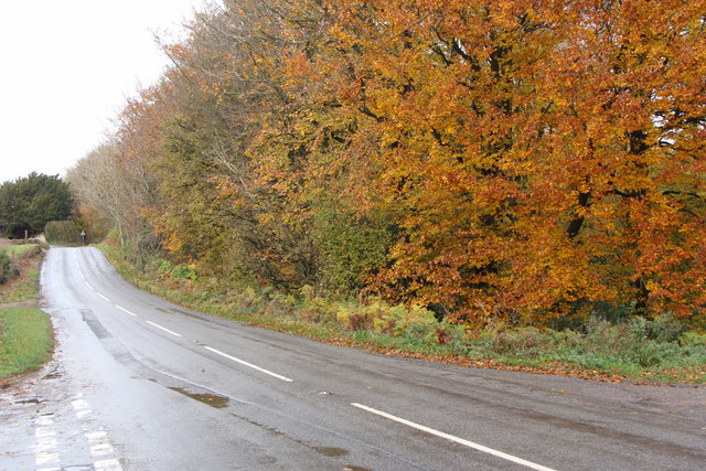 File:Autumn colours on the B4293 - Geograph - 1040614.jpg