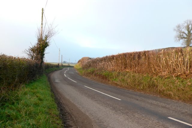 File:Road Between Alton Pancras and Henley - Geograph - 1101563.jpg