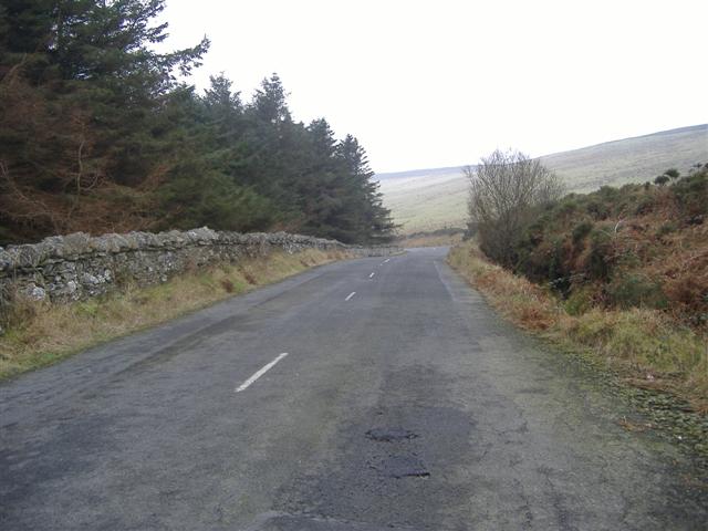 File:A 27 road, by Cringle plantation, Isle... (C) kevin rothwell - Geograph - 117378.jpg