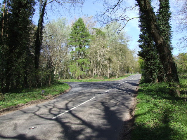 File:Turn off to Great Hockham on B1111 - Geograph - 406431.jpg