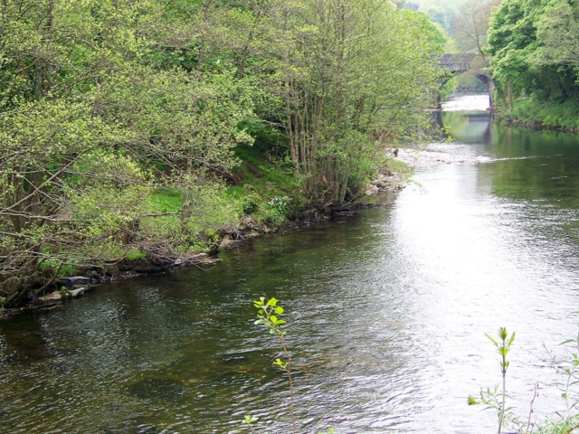 File:River Dart, Buckfast - Geograph - 1361895.jpg