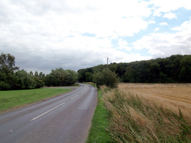 File:The Road to Howsham - Geograph - 216783.jpg