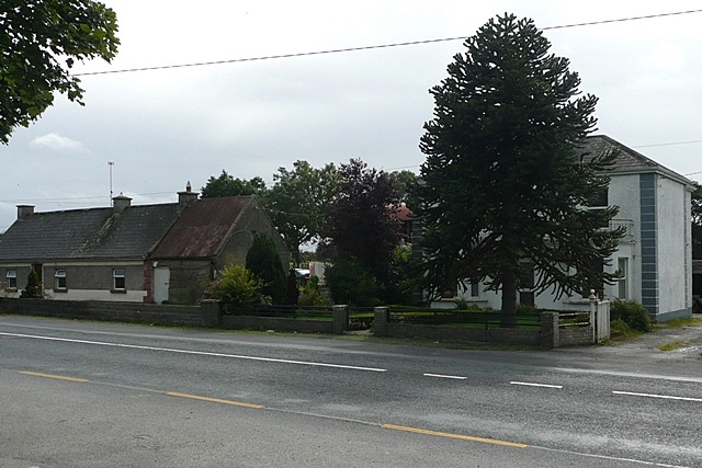 File:Houses on N61 - Geograph - 964907.jpg