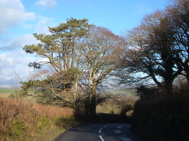 File:B3186 above Two Crosses - Geograph - 295848.jpg