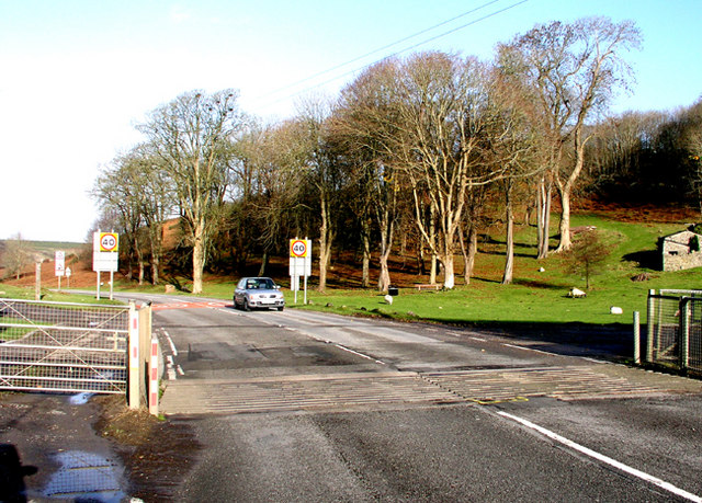 File:Cattle Grid at the start of the Pant St Brides Road - Geograph - 286181.jpg