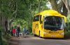 Coach at the Dark Hedges near Armoy - Geograph - 5477950.jpg