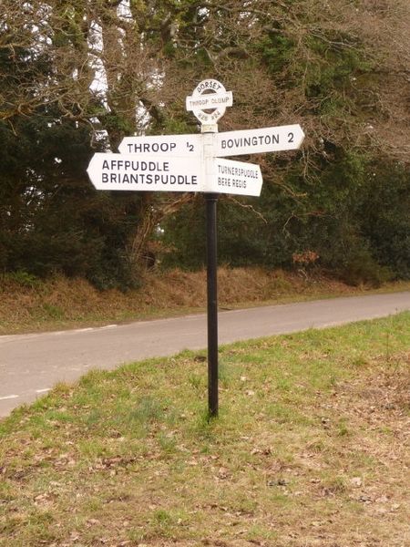 File:Throop- signpost at Throop Clump crossroads - Geograph - 1707634.jpg