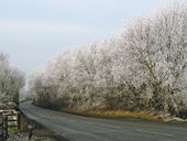 A372 (Langport to Othery road) with winter frost - Geograph - 1127596.jpg
