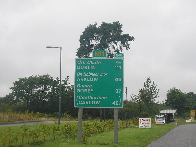 File:N11 northbound just north of Enniscorthy - Coppermine - 19653.JPG