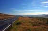 TT Course near Brandywell (C) Andy Stephenson - Geograph - 37752.jpg