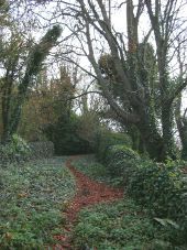 The "Lost Road", Blackgang (C) Ray Girvan - Geograph - 2723134.jpg