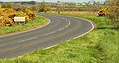 The Magheramore Road near Armoy - Geograph - 1259194.jpg