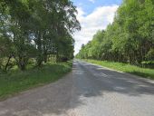 Edzell Wood southbound.jpg