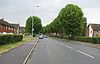 Newmarket- B1103 New Cheveley Road - Geograph - 881344.jpg