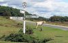Standing at the Crossroads - Geograph - 5905802.jpg