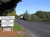 Approaching Dungannon - Geograph - 258958.jpg