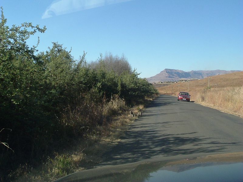 File:Baboons on road - Coppermine - 6921.JPG