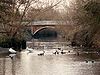 River Blackwater in Kelvedon, Essex - Geograph - 303018.jpg