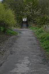 Ncn765.jpg