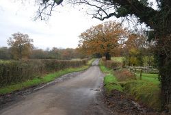 Lane to Linchmere - Geograph - 3815496.jpg