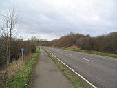 Cycle and foot path, A6116 - Geograph - 323670.jpg