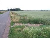 Plash Drove looking towards Plash Farm - Geograph - 1937881.jpg