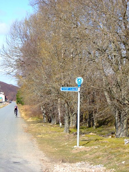 File:Foot-Cycle sign on NCN 7 at Slochd Village - Coppermine - 11222.JPG