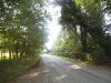 Lynwick Road, Bucks Green - Geograph - 4662597.jpg