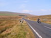 Newby Head Moss - Geograph - 48854.jpg