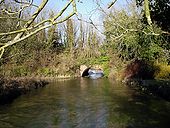 River Itchen flows under a former railway embankment - Geograph - 130008.jpg