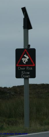 Vehicle activated deer warning sign A82 Glencoe - Coppermine - 20128.jpg