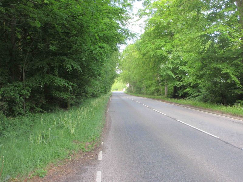 File:A92 at Ethie Woods.jpg