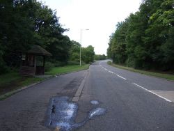 Bus stop and shelter on Stevenage Road - Geograph - 4617665.jpg