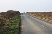Road to Bempton - Geograph - 1212832.jpg