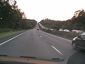 A31, New Forest - Coppermine - 20116.jpg