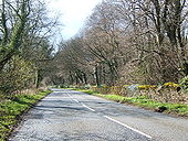 The B4058 after a shower - Geograph - 381470.jpg