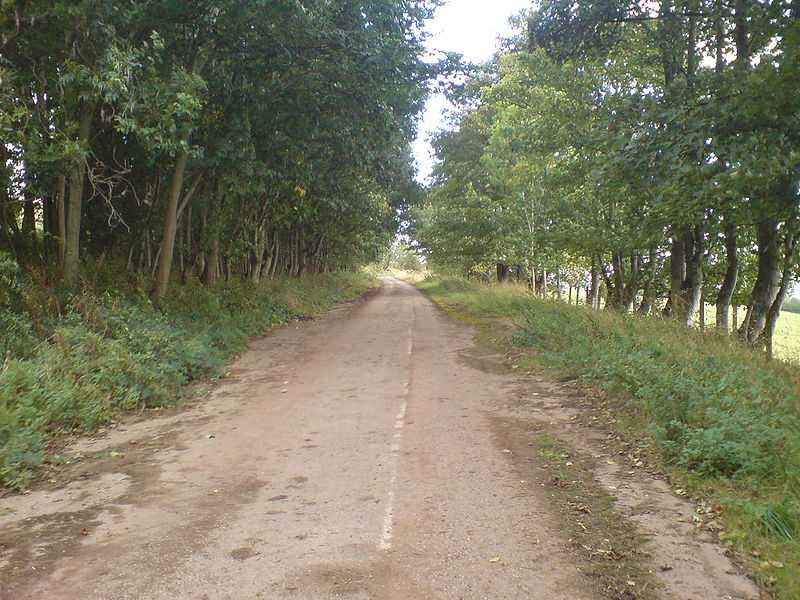 File:Old A9. Between Findo Gask and Forteviot junctions. - Coppermine - 20131.JPG