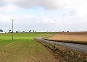 View east along the B1136 (Loddon Road) - Geograph - 1538168.jpg