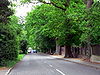 Corton Long Lane B1385 - Suffolk - Geograph - 450999.jpg
