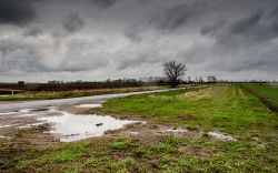 East Fen Drove - Geograph - 3443230.jpg