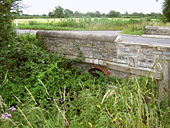 Overgrown bridge on the A372 - Geograph - 1391439.jpg