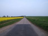 Looking east towards Crouch Hill - Geograph - 403275.jpg