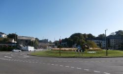 Hedgehogs on Trafalgar Roundabout - Geograph - 6251677.jpg