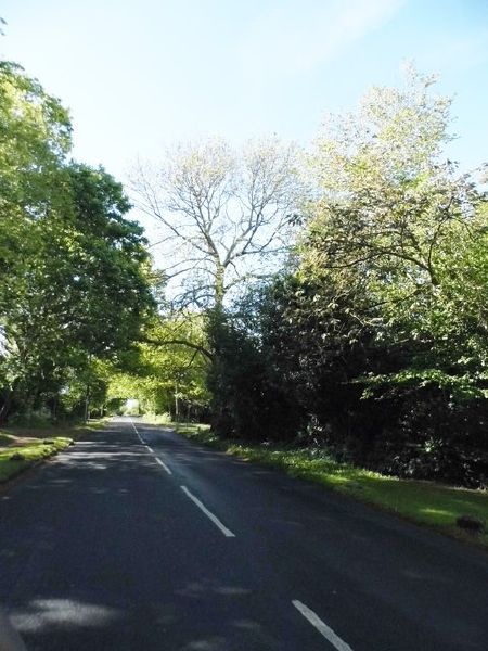 File:Copperkins Lane, Chesham Bois - Geograph - 4483170.jpg